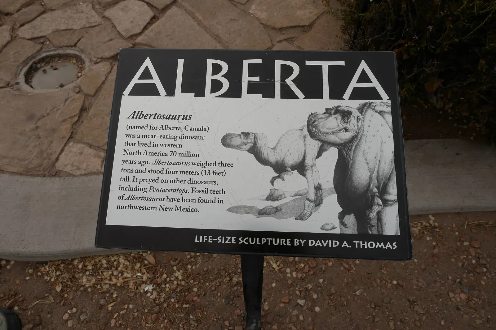 Musée d'histoire naturelle et des sciences du Nouveau-Mexique
