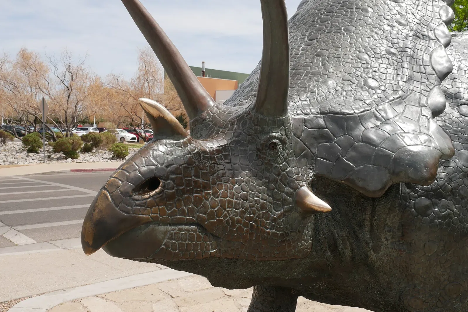 New Mexico Museum of Natural History & Science