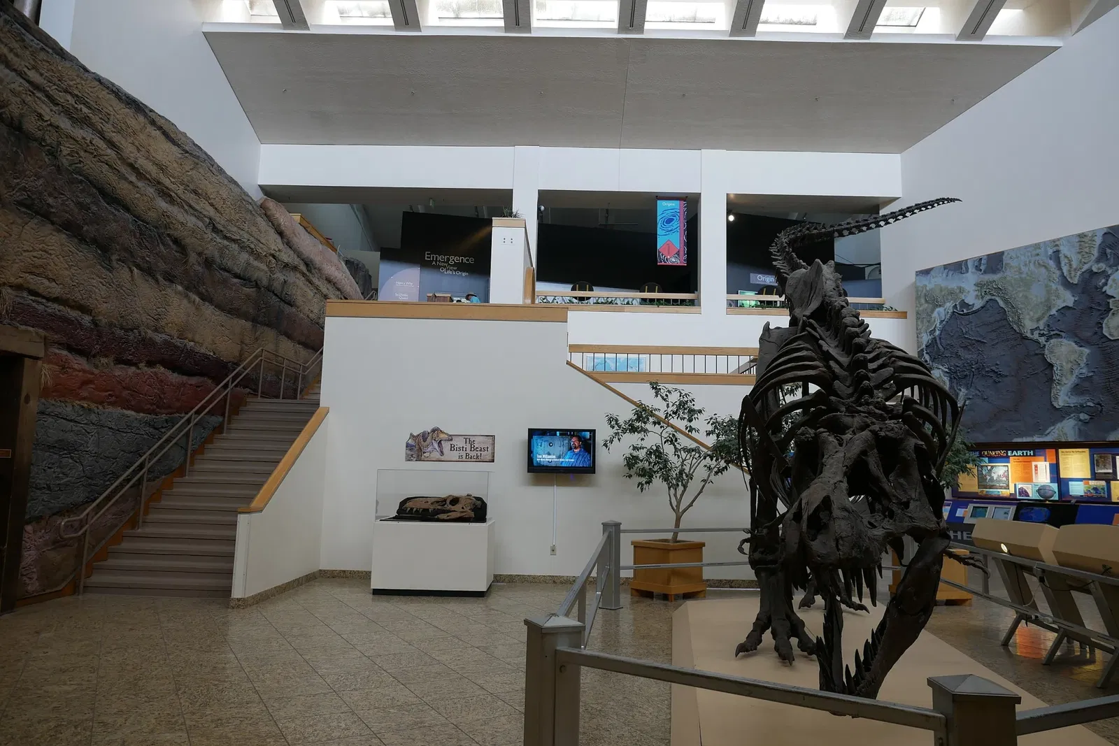 Musée d'histoire naturelle et des sciences du Nouveau-Mexique