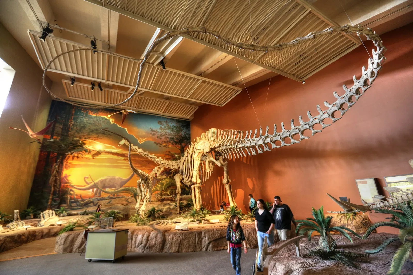 New Mexico Museum of Natural History & Science