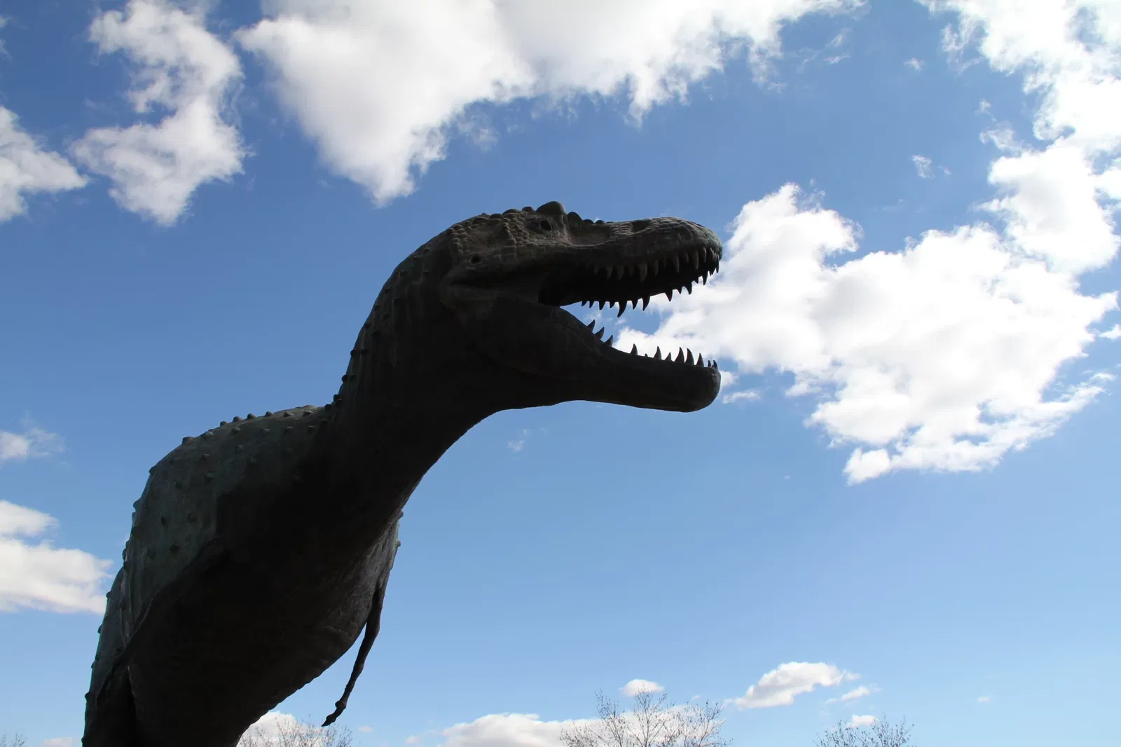 New Mexico Museum of Natural History & Science