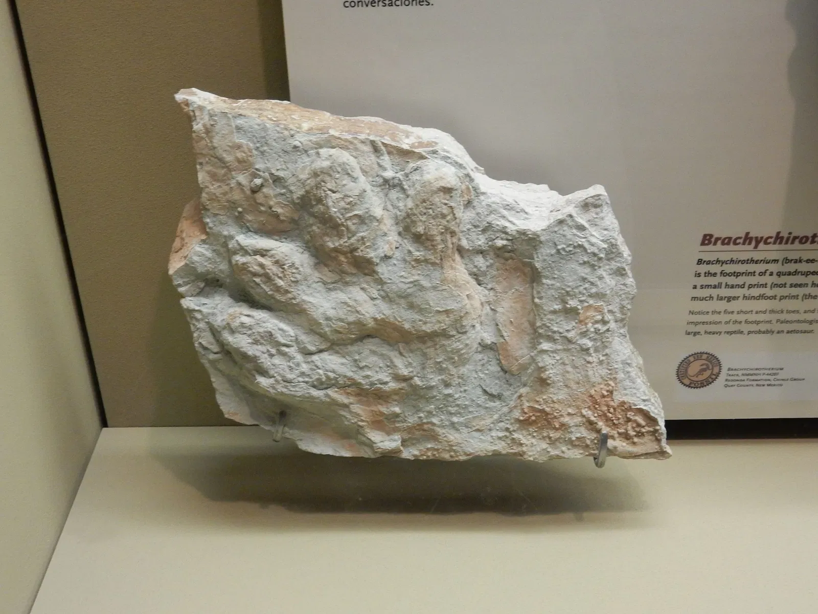 New Mexico Museum of Natural History & Science