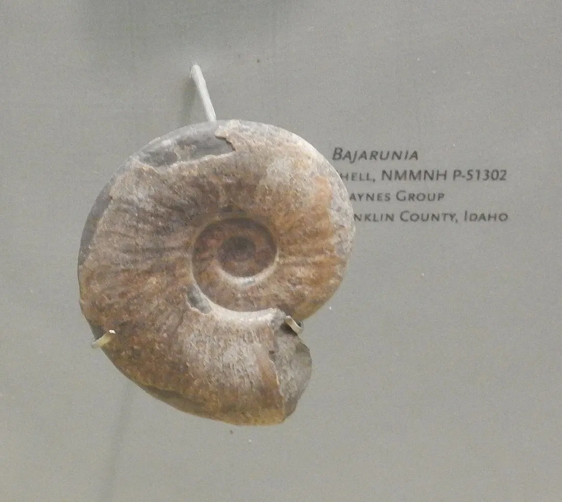 New Mexico Museum of Natural History & Science