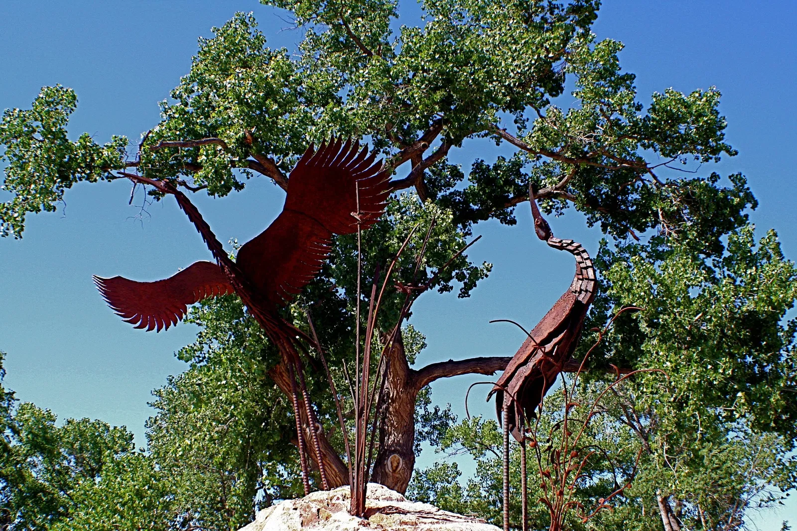 Acuario de Albuquerque