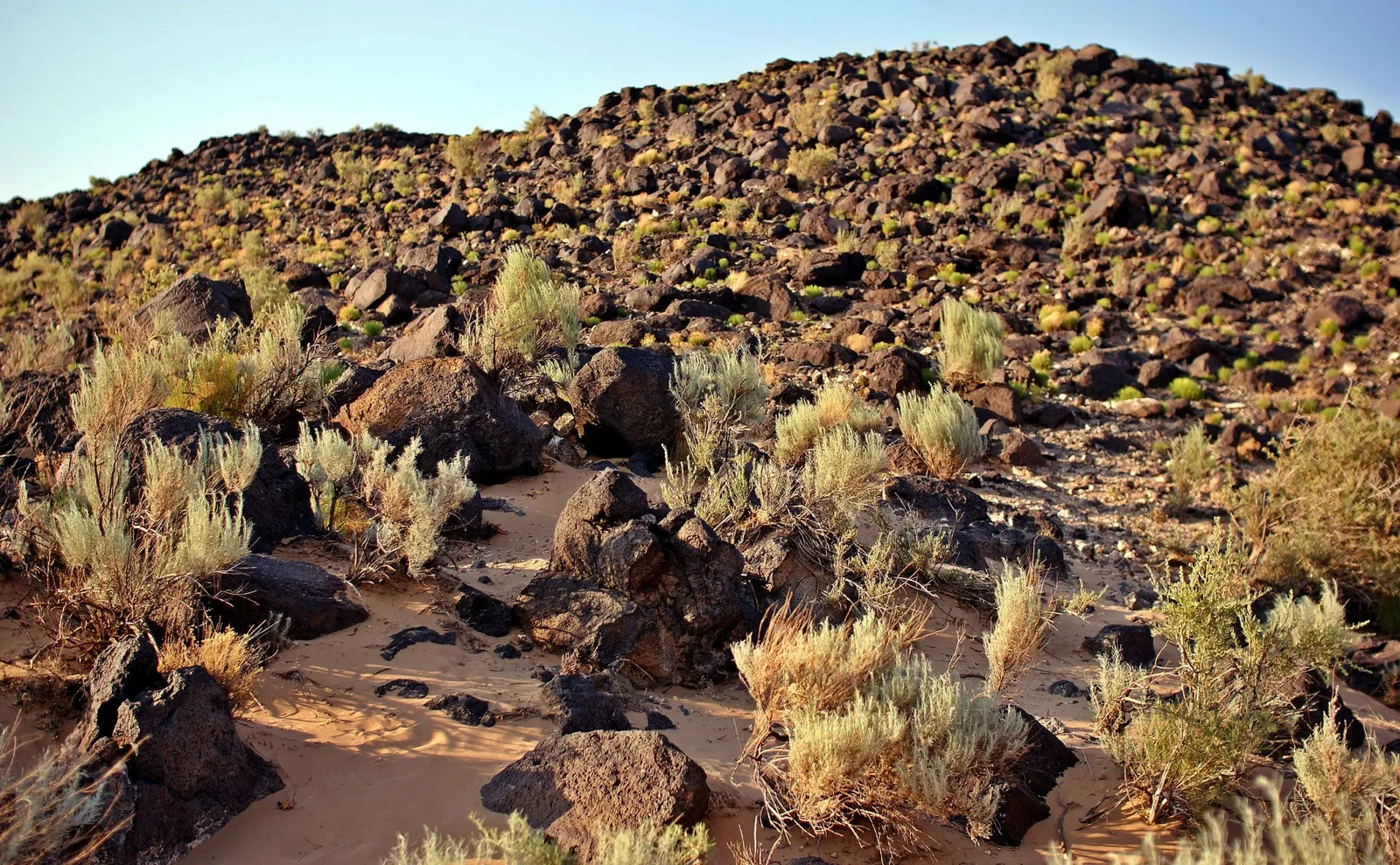 Petroglyph National Monument Visitor Center