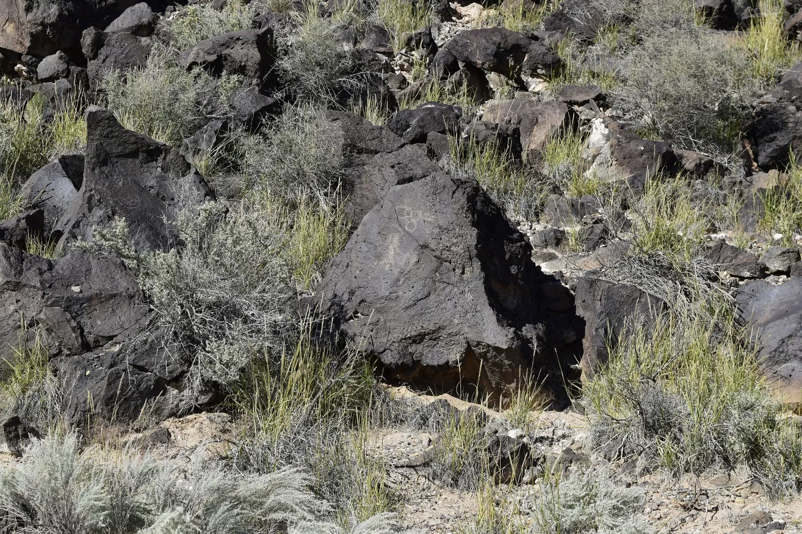 Petroglyph National Monument