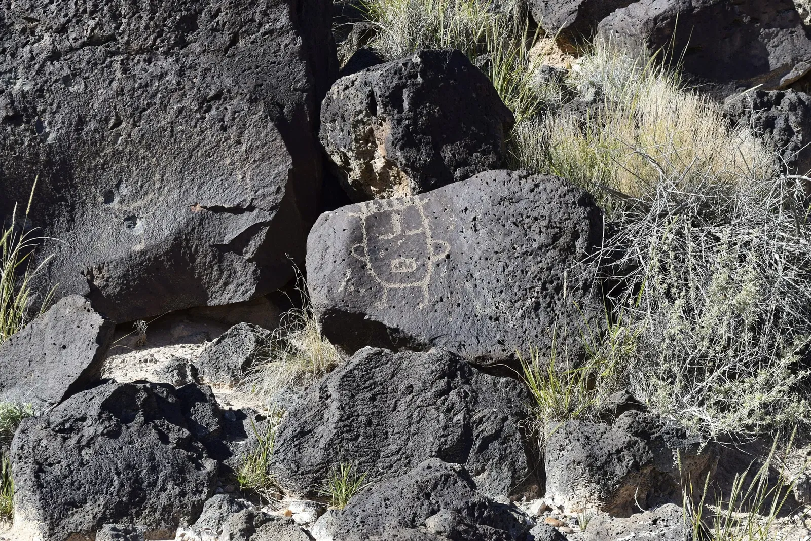 Monument national de Petroglyph