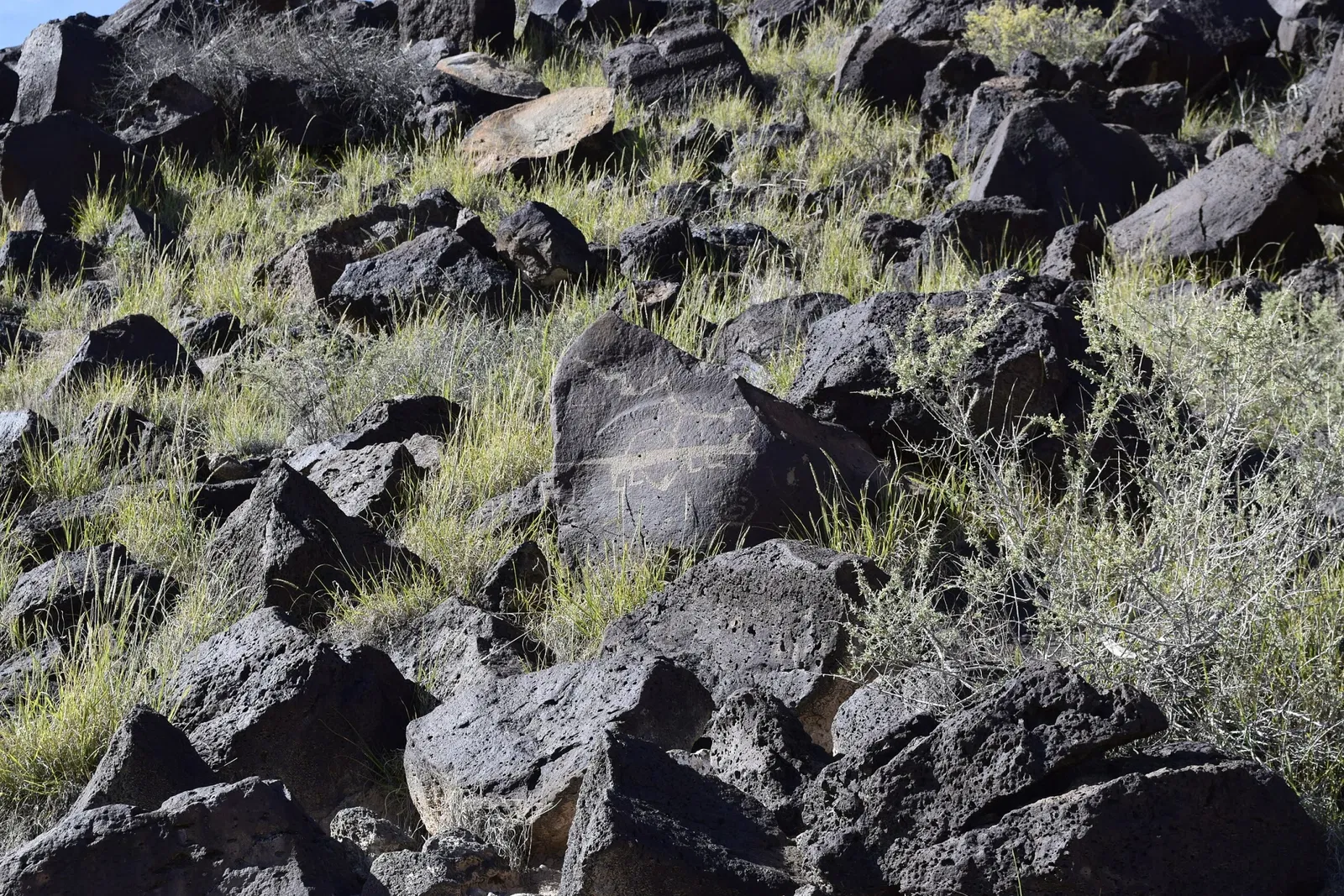 Monument national de Petroglyph