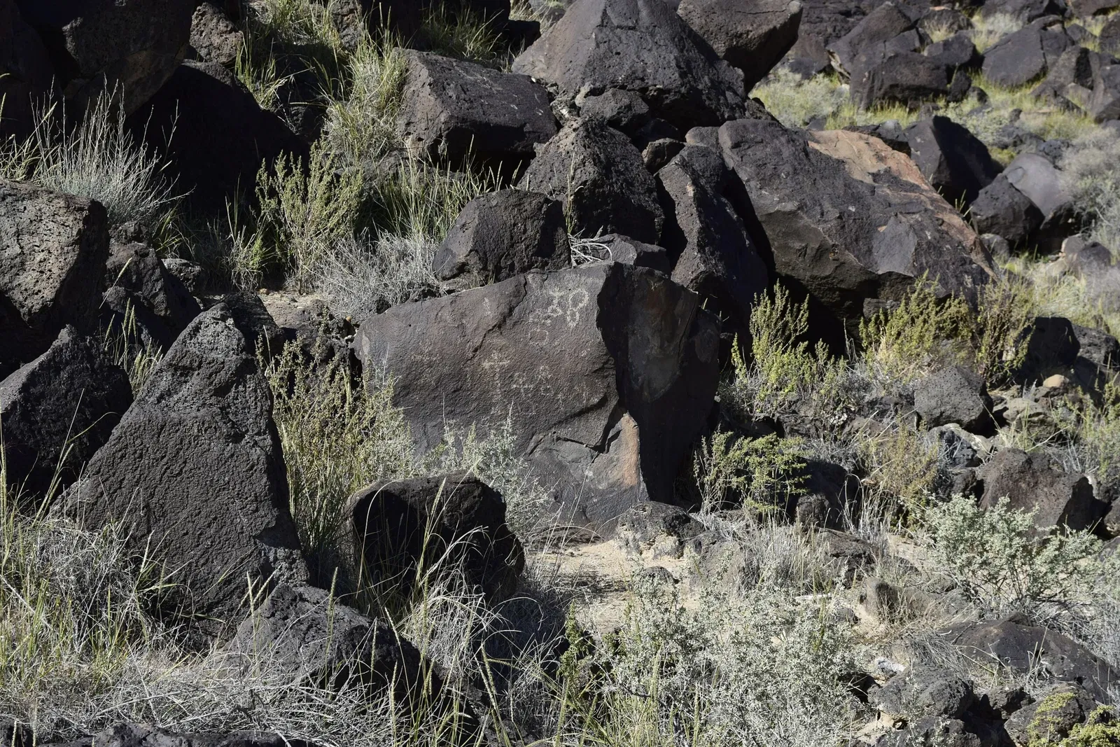 Monument national de Petroglyph