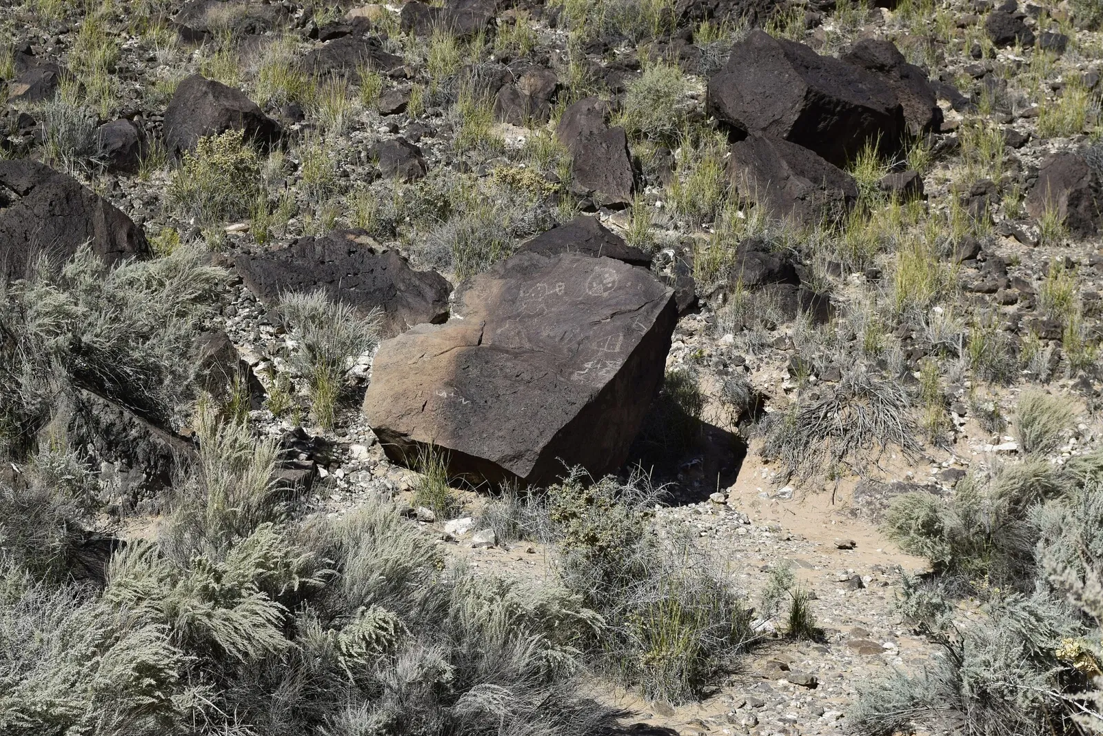 Petroglyph National Monument