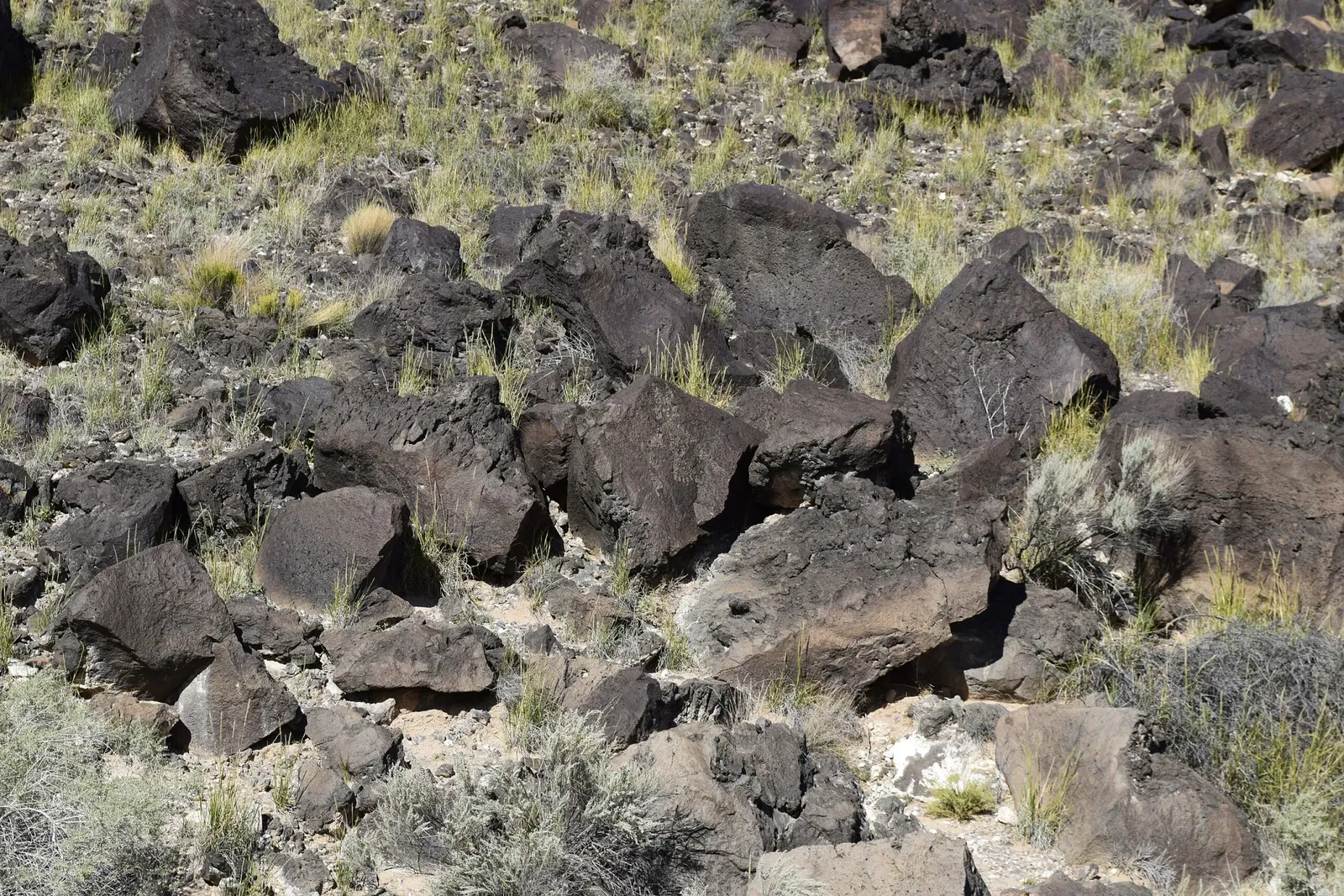 Monument national de Petroglyph