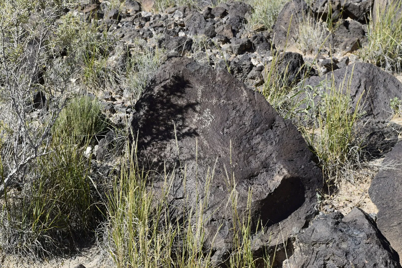 Petroglyph National Monument Visitor Center