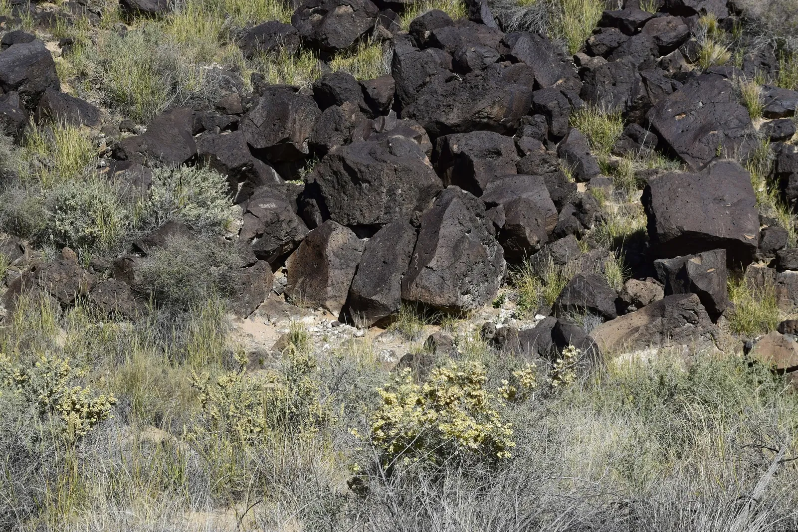 Petroglyph National Monument Visitor Center