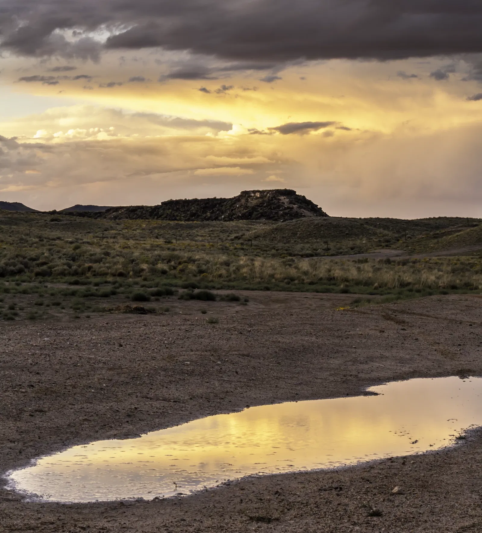Monumento nacional de los Petroglifos