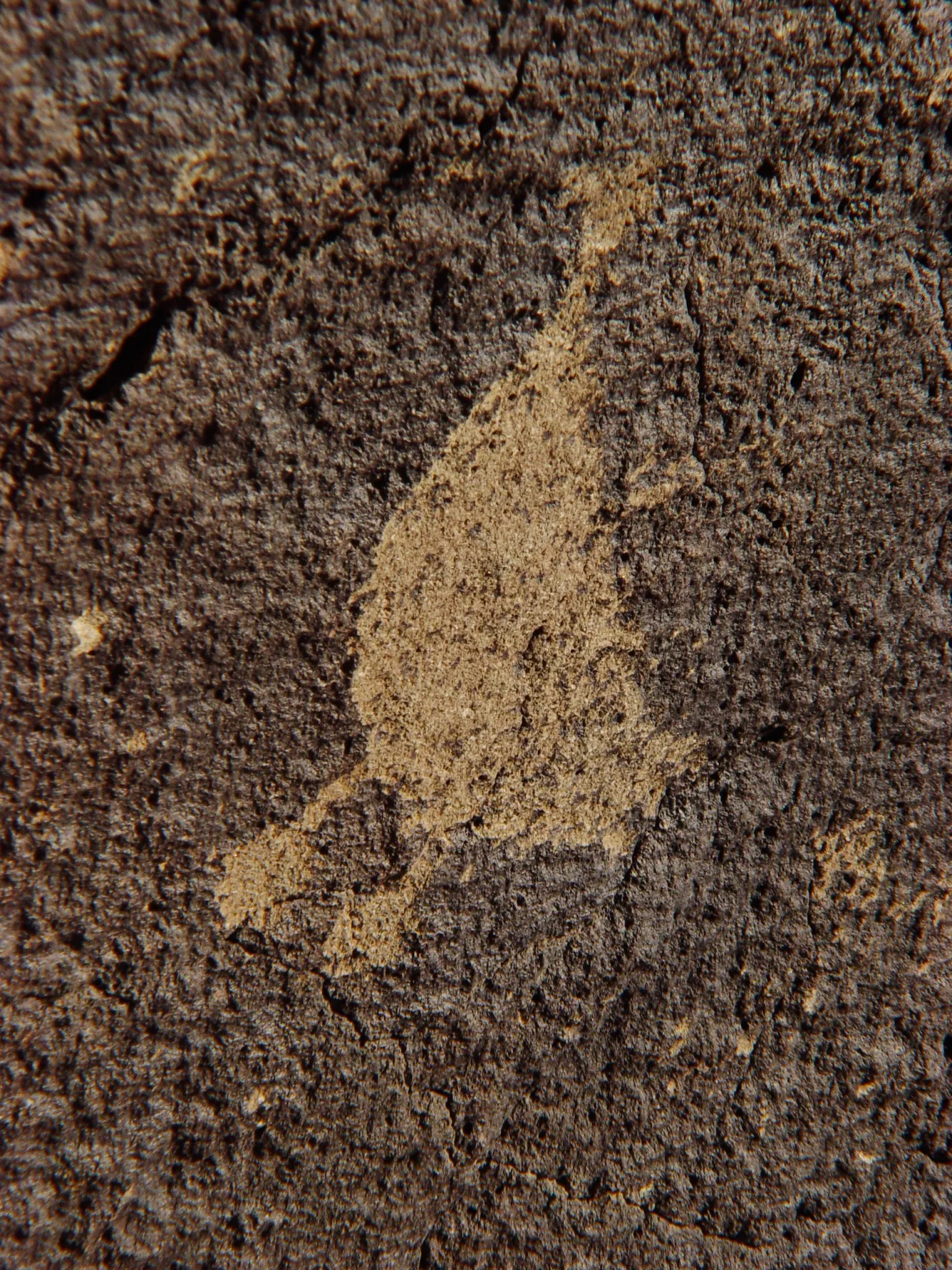 Monument national de Petroglyph