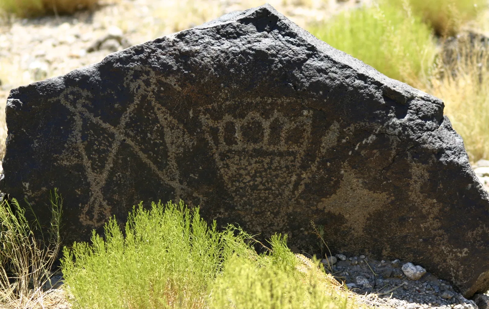 Monument national de Petroglyph