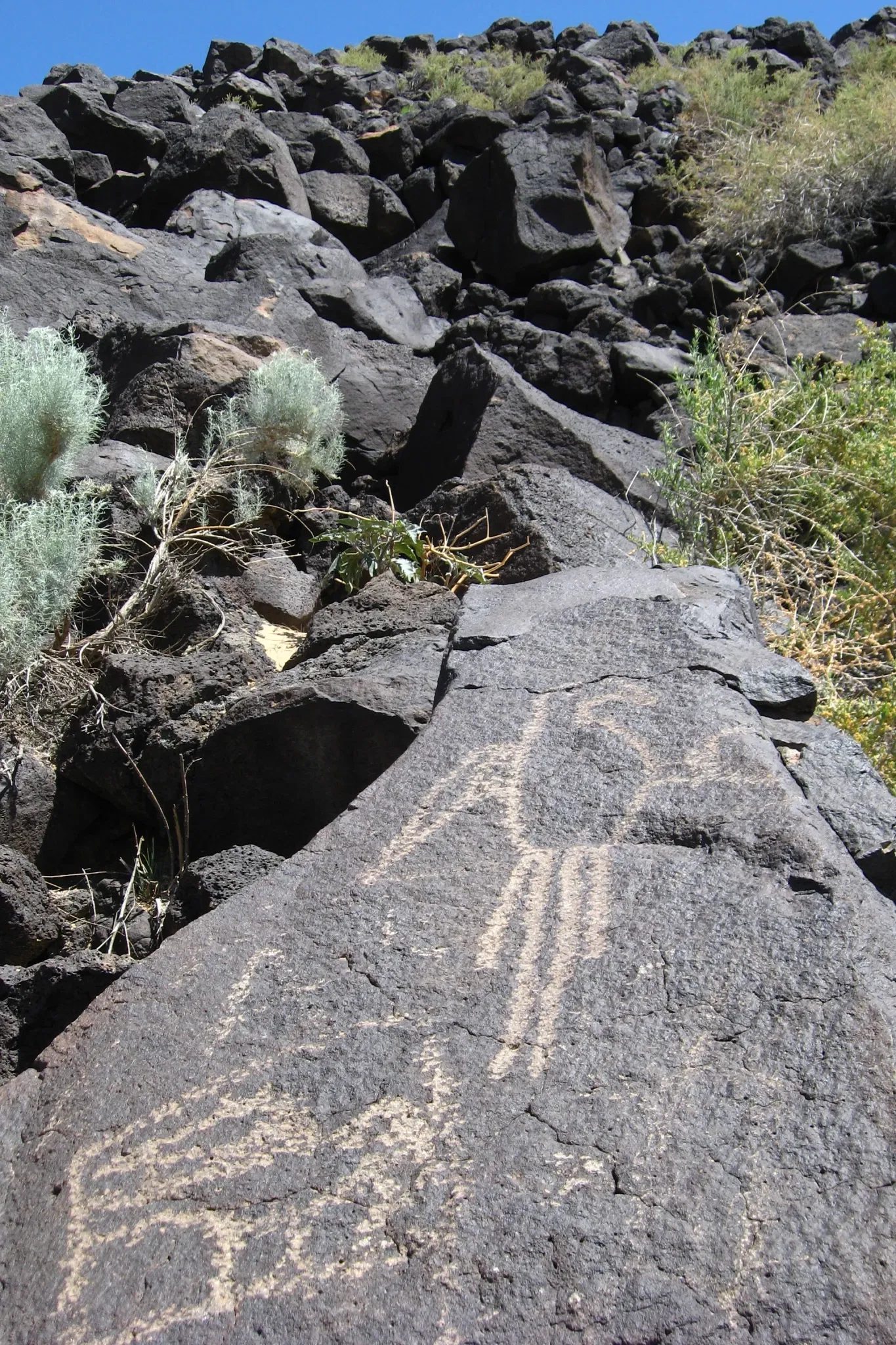 Petroglyph National Monument Visitor Center