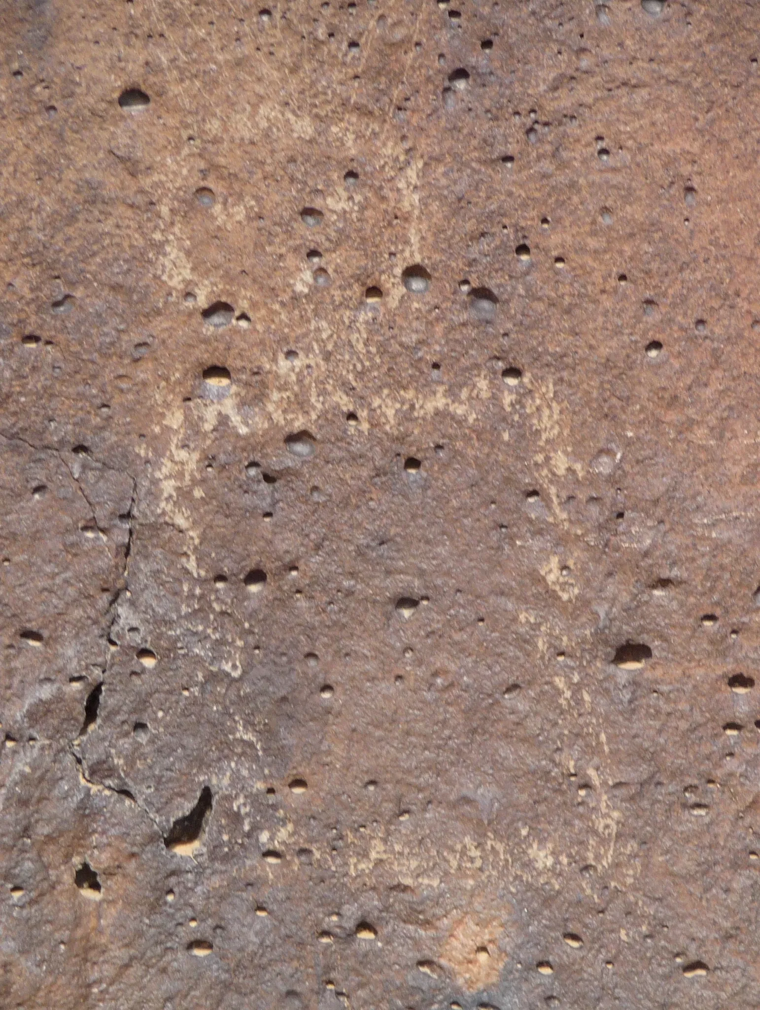 Petroglyph National Monument Visitor Center