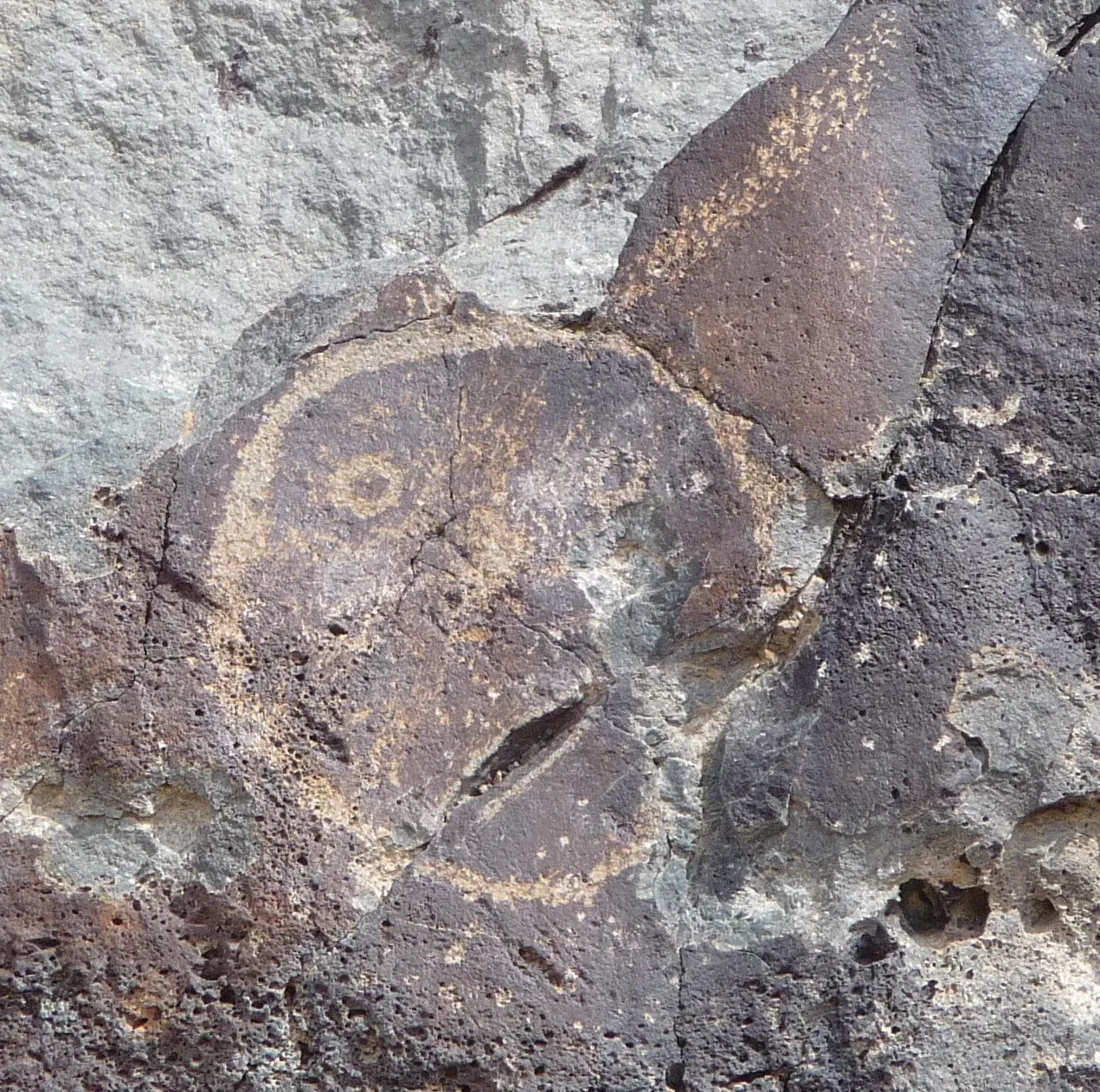 Petroglyph National Monument Visitor Center