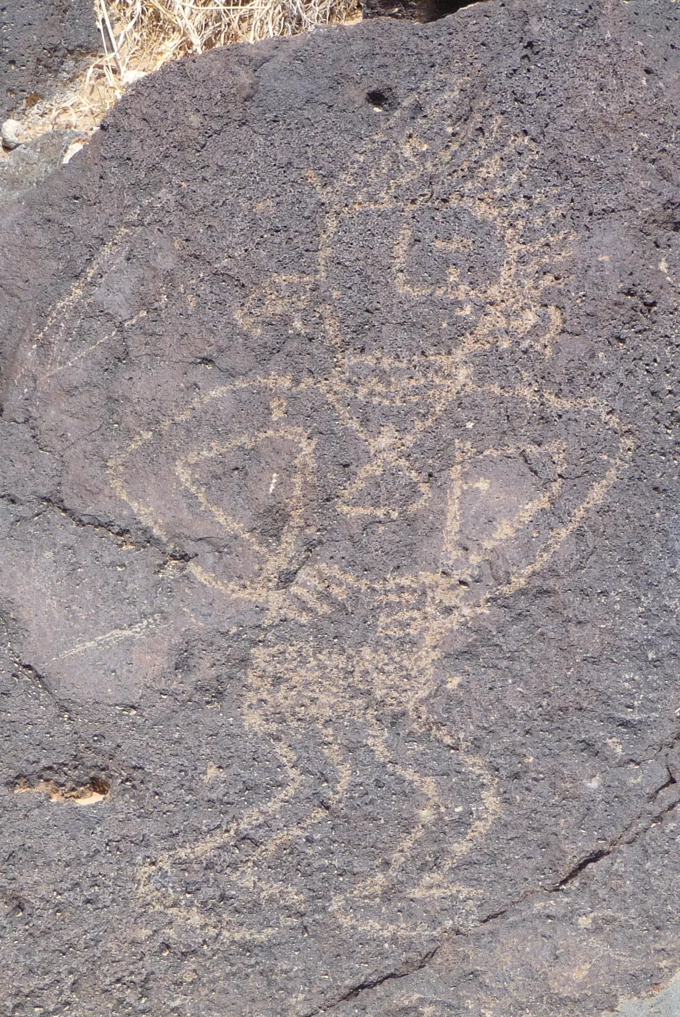 Petroglyph National Monument