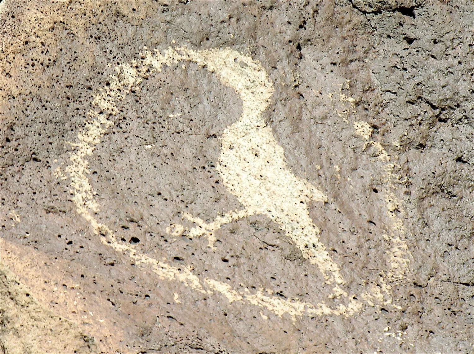 Monument national de Petroglyph