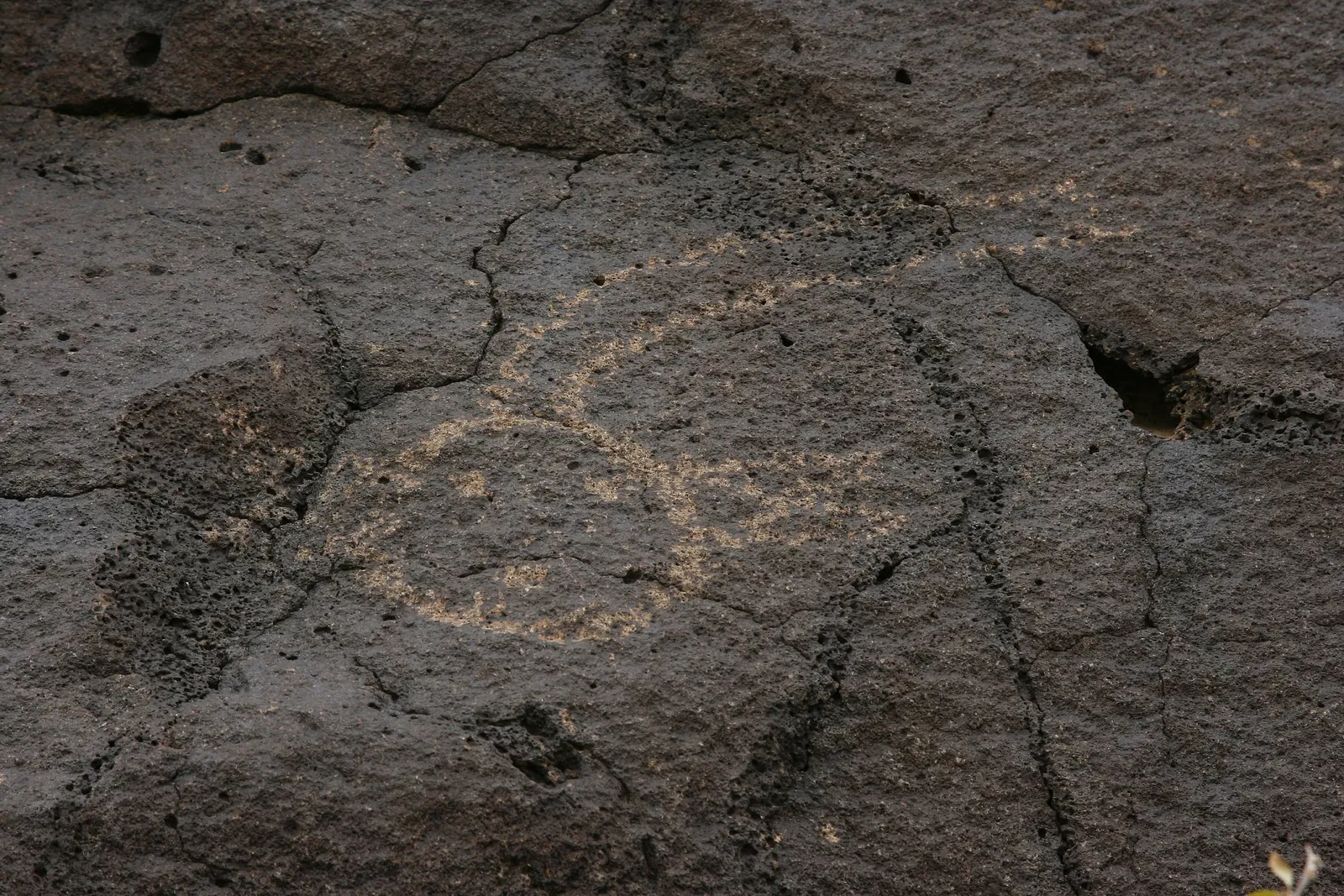 Petroglyph National Monument Visitor Center