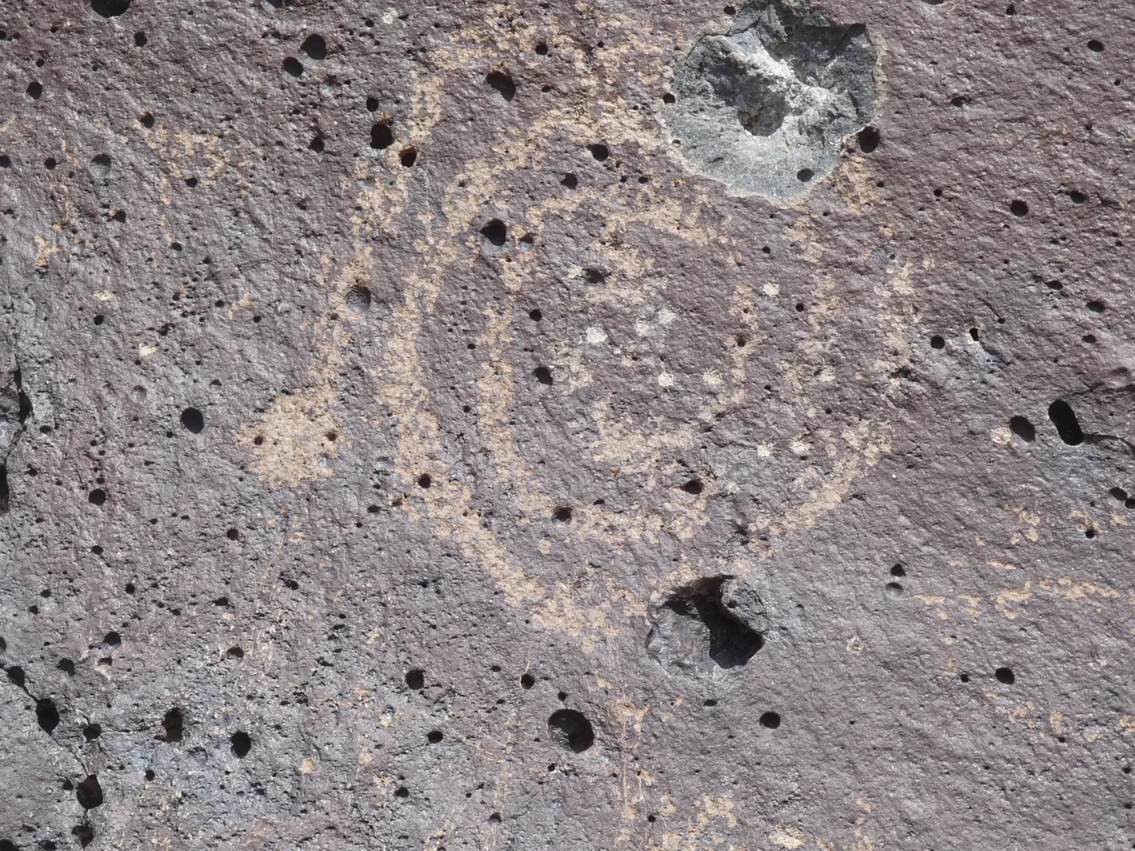 Petroglyph National Monument Visitor Center