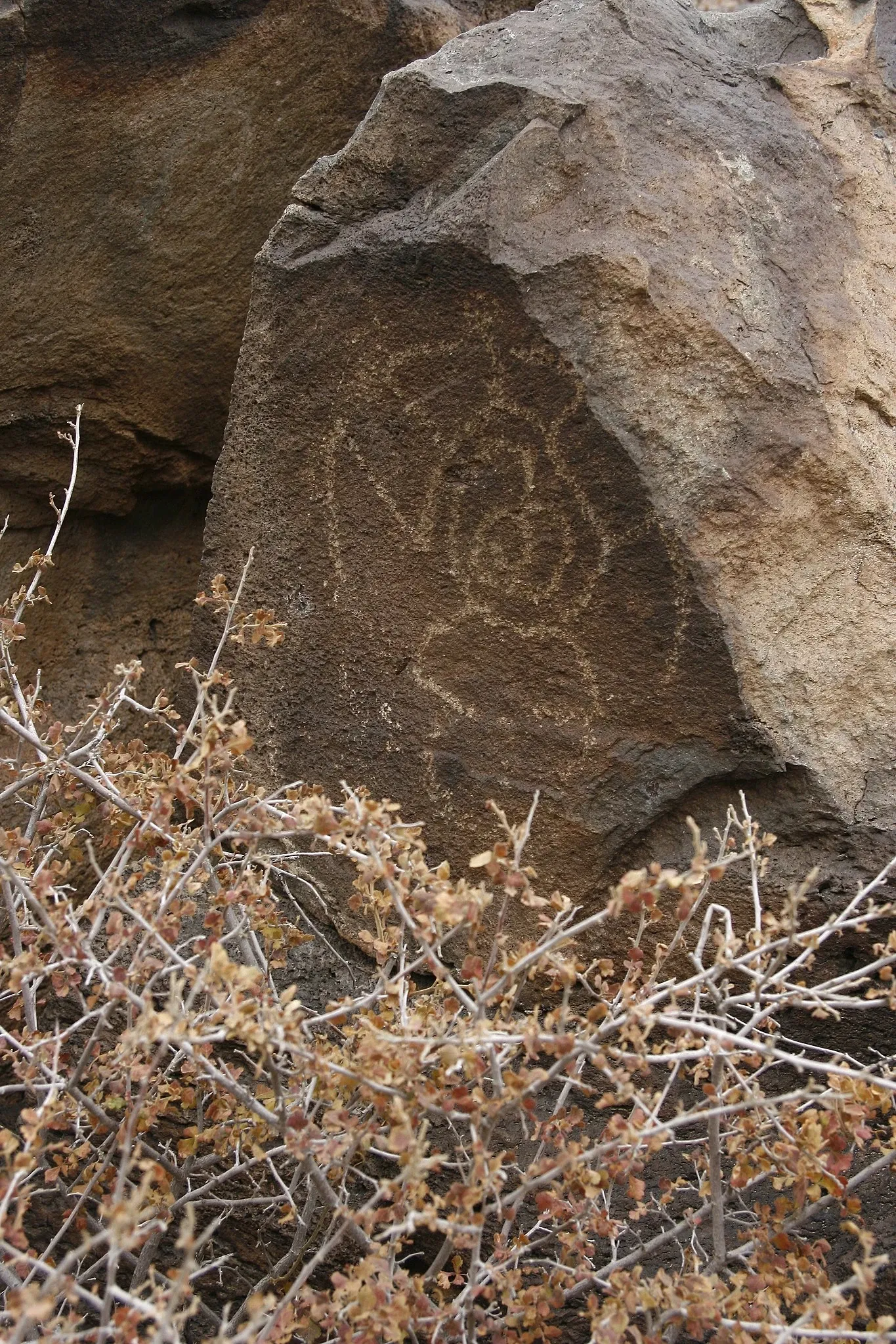 Petroglyph National Monument Visitor Center