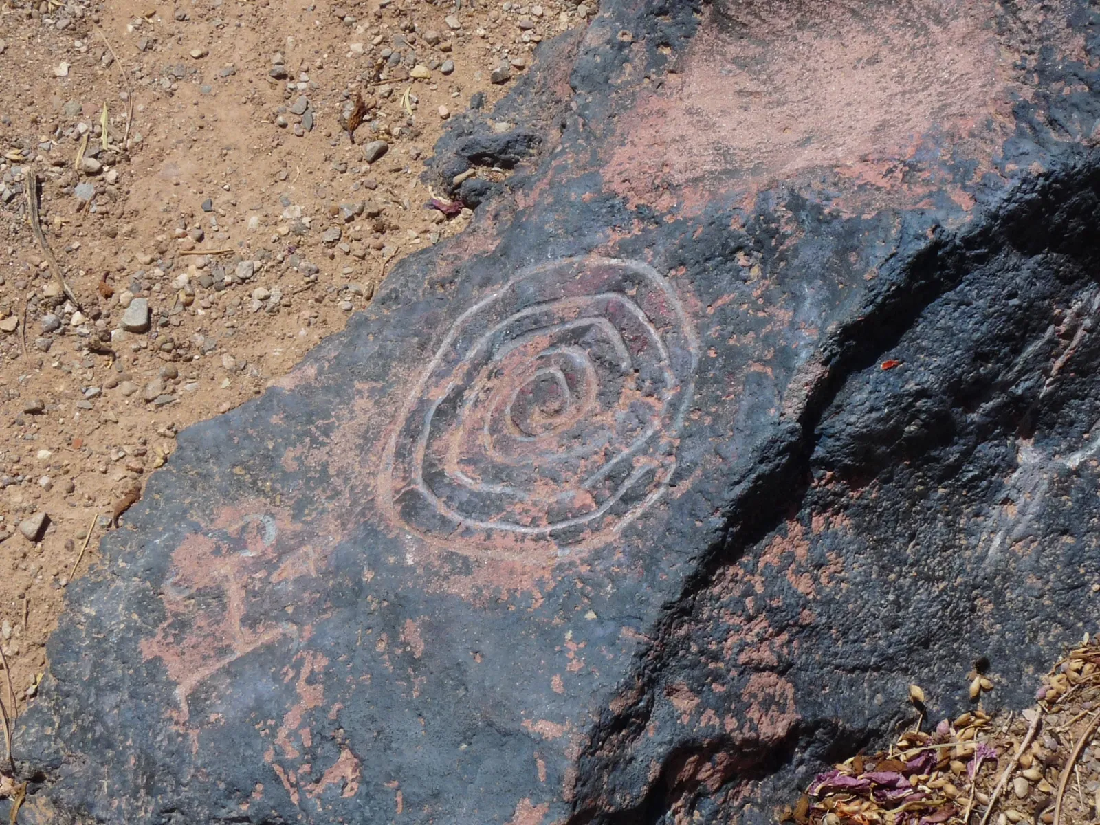 Petroglyph National Monument Visitor Center