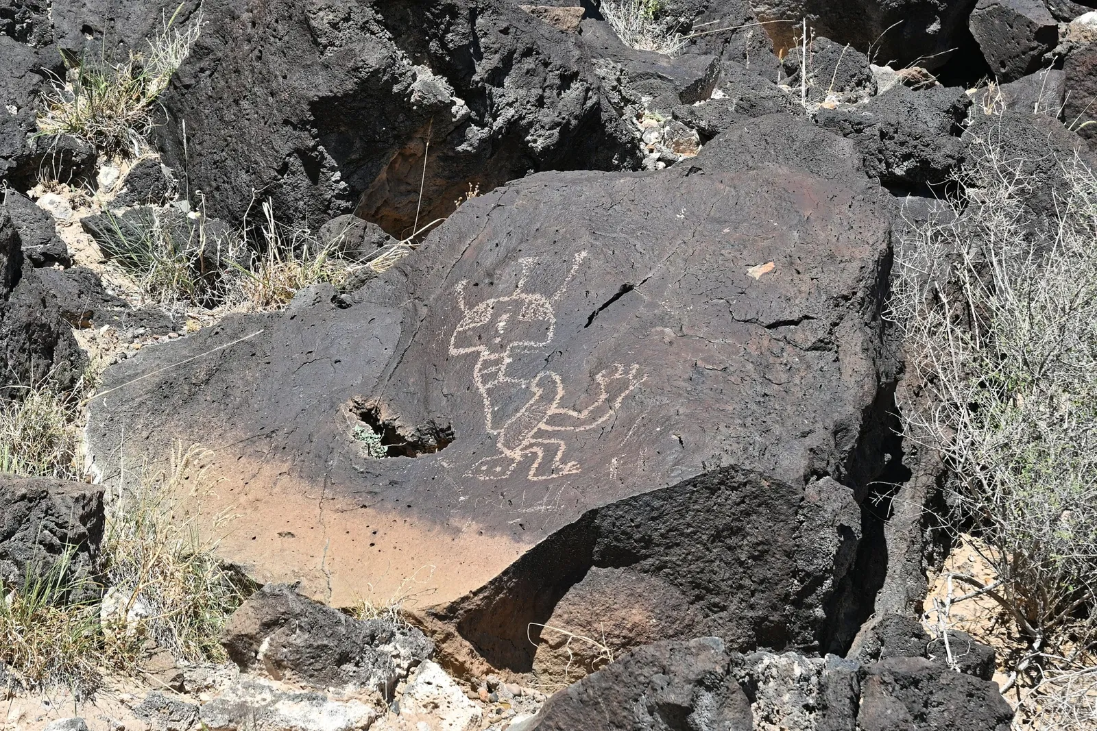 Petroglyph National Monument