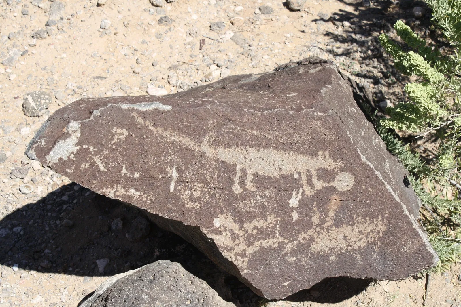 Petroglyph National Monument