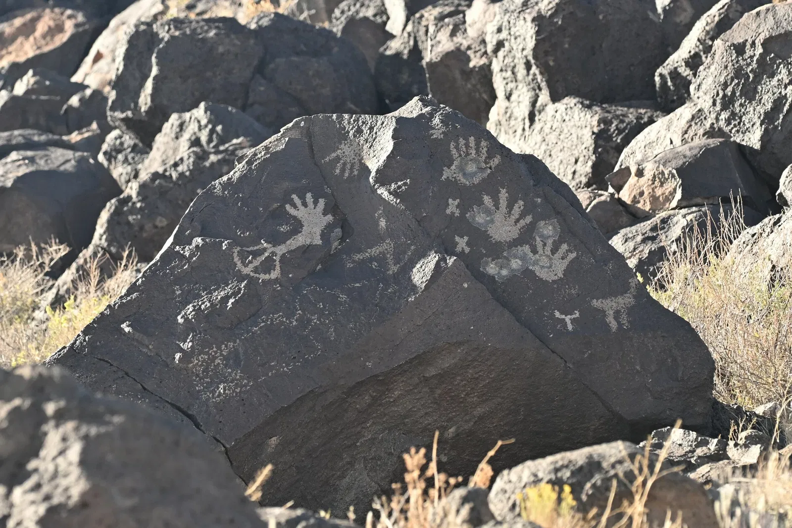 Petroglyph National Monument Visitor Center