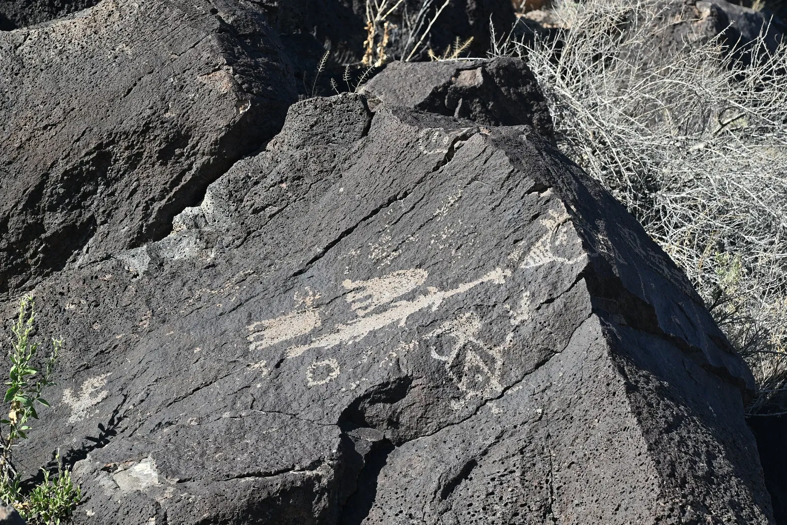 Petroglyph National Monument