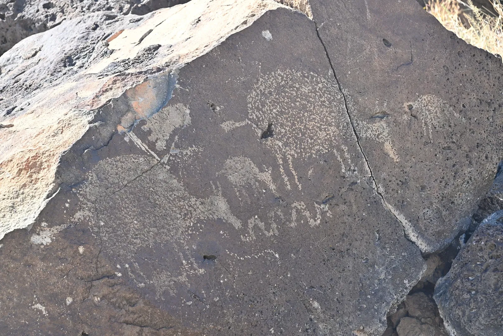 Petroglyph National Monument