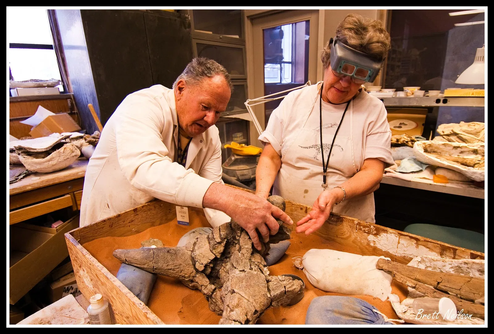 Natural History Museum of Utah