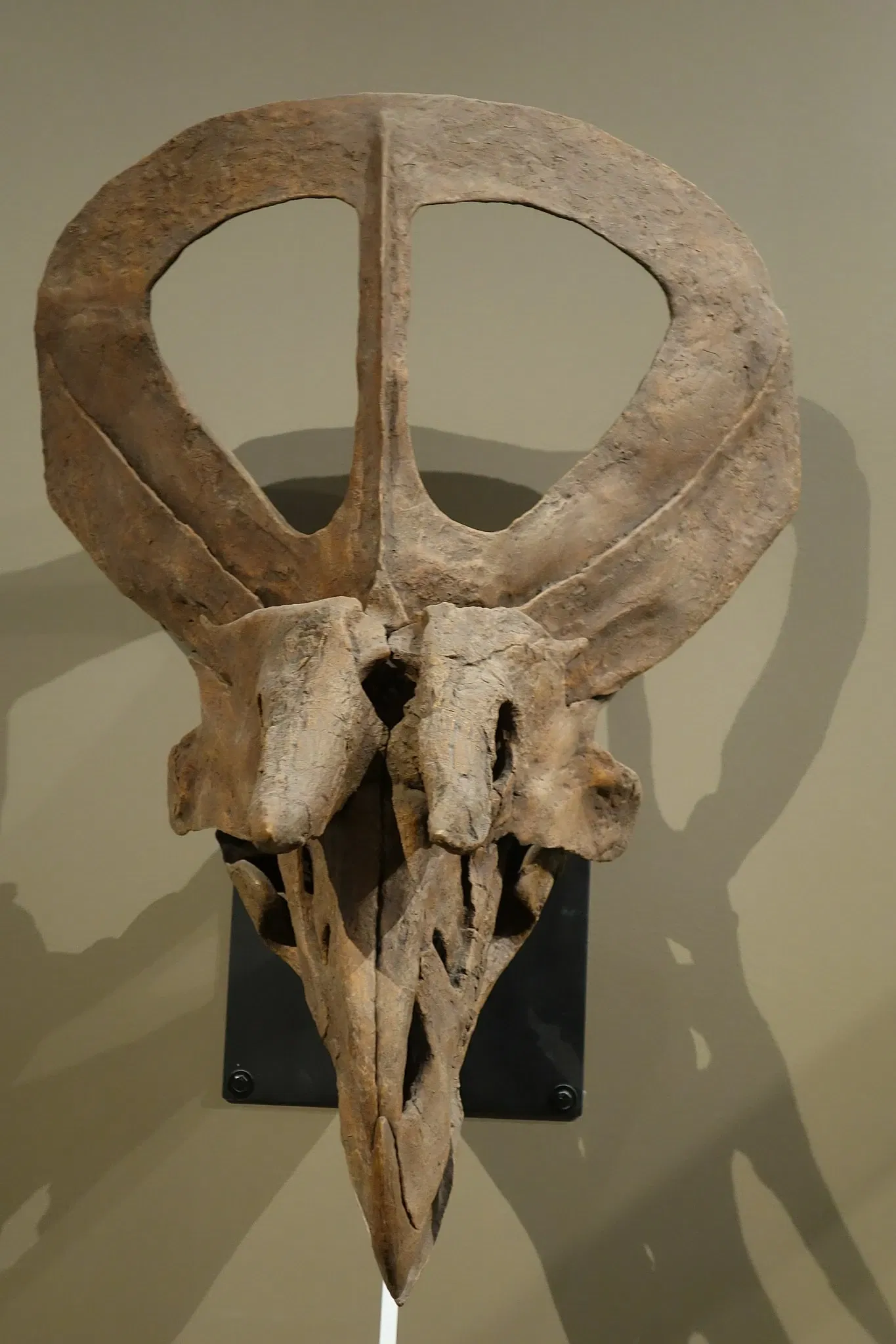 Natural History Museum of Utah