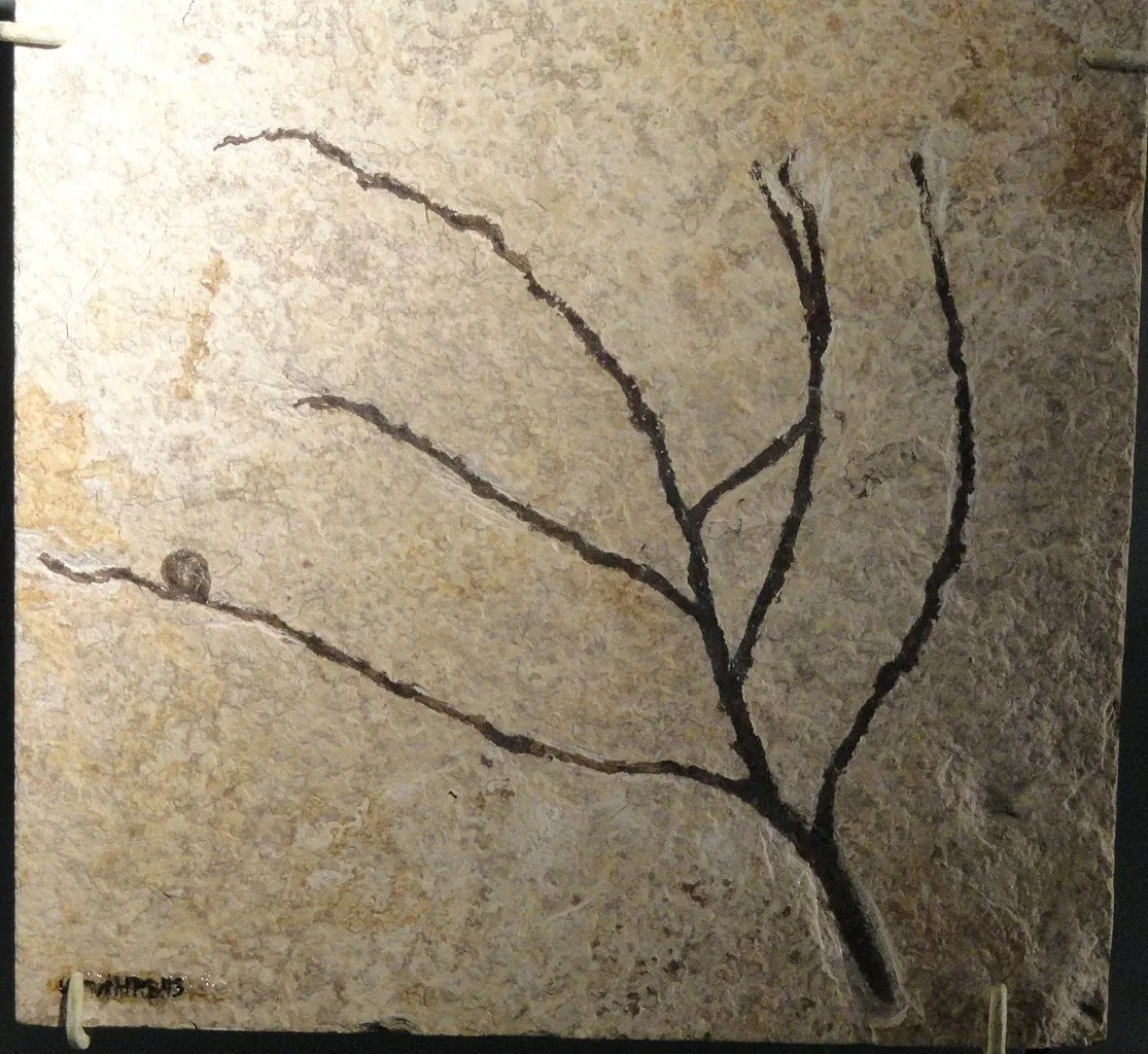 Natural History Museum of Utah