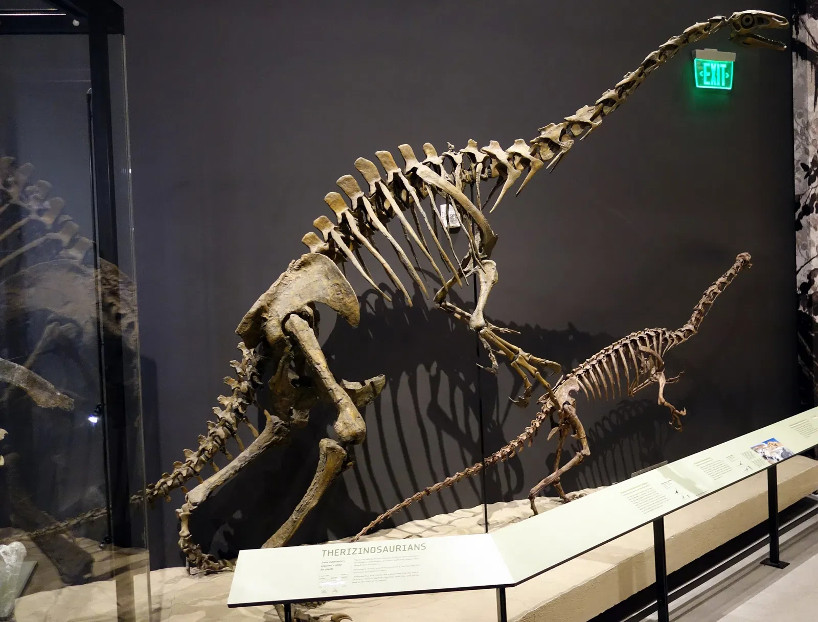 Natural History Museum of Utah