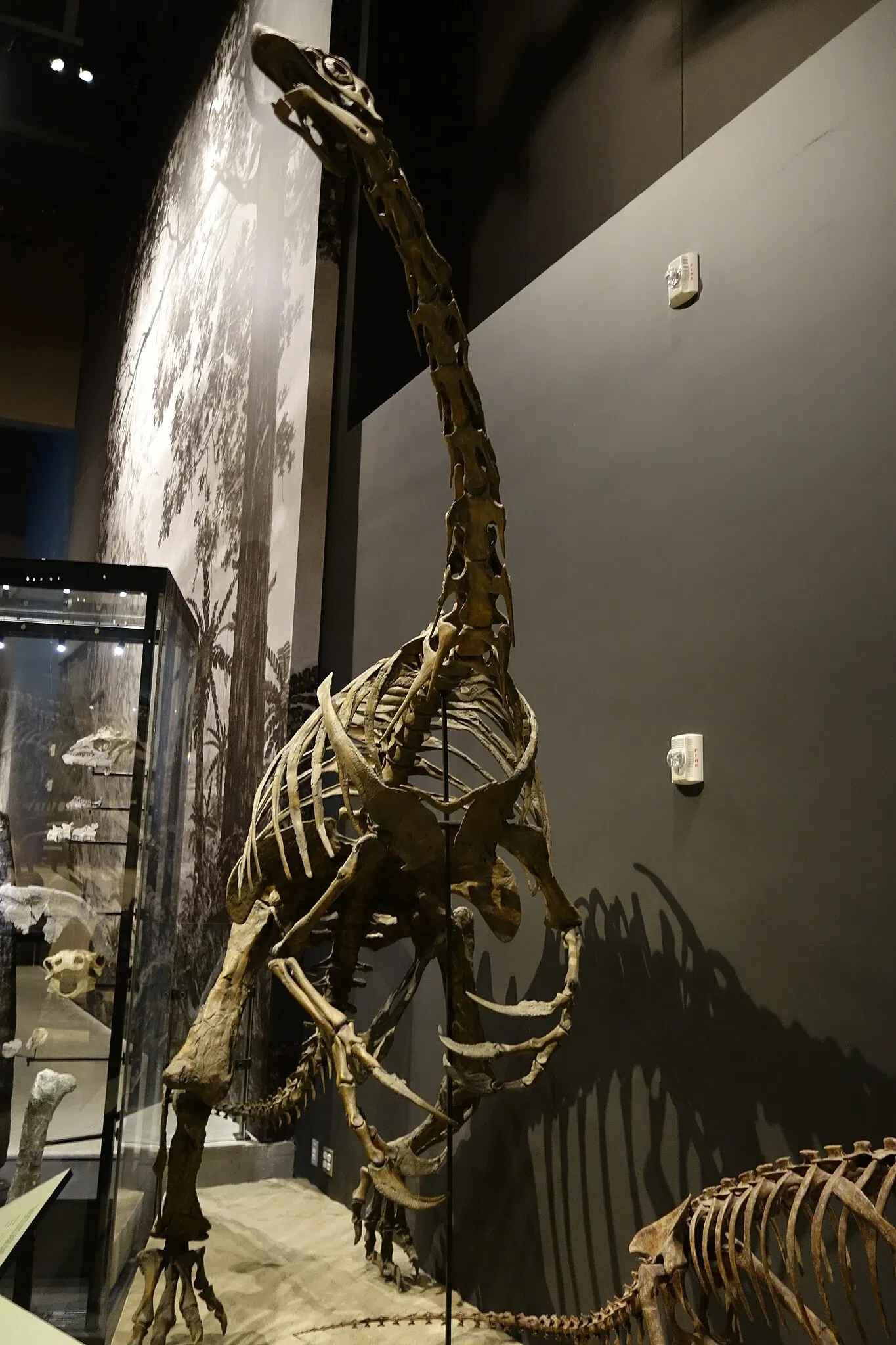 Natural History Museum of Utah