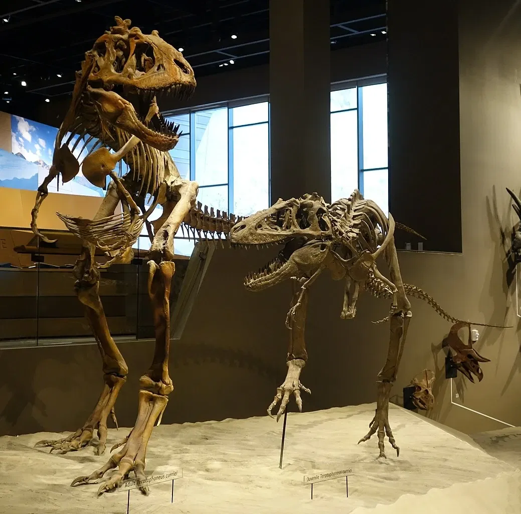 Natural History Museum of Utah