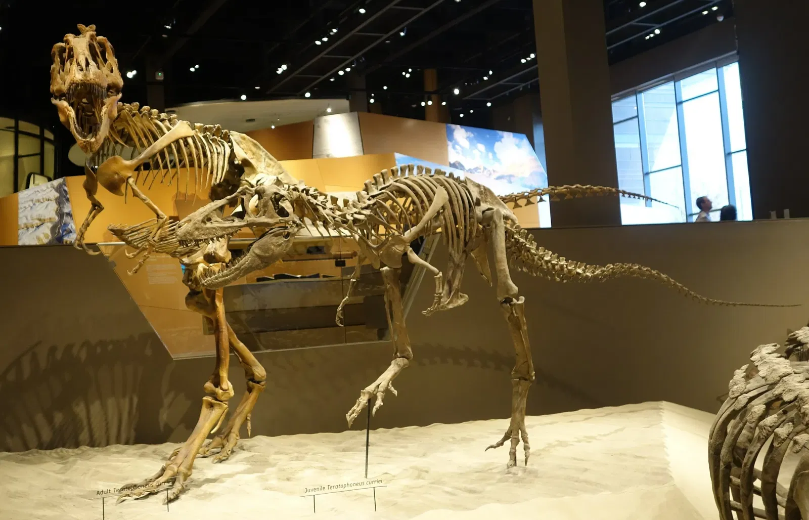 Natural History Museum of Utah