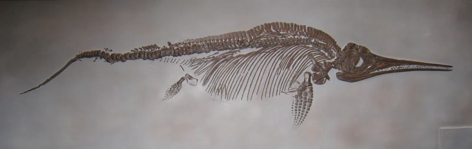 Natural History Museum of Utah