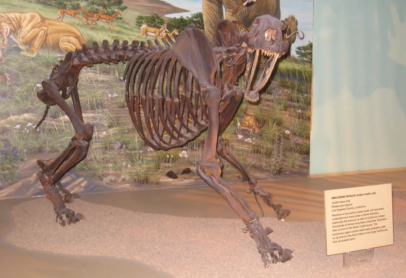Natural History Museum of Utah