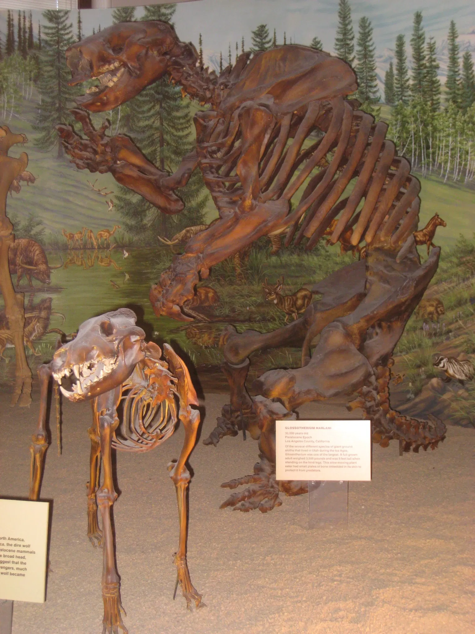 Natural History Museum of Utah