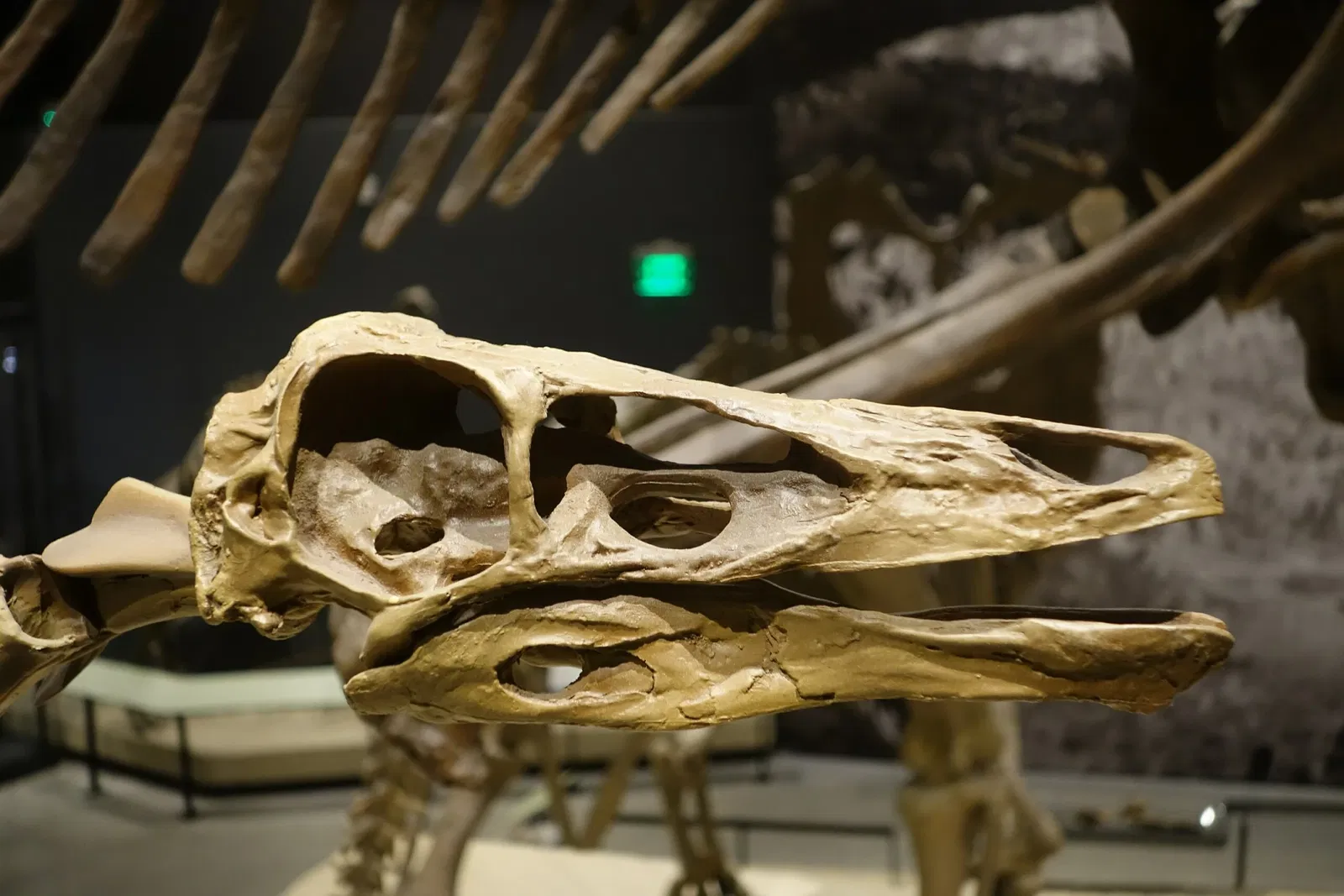 Natural History Museum of Utah