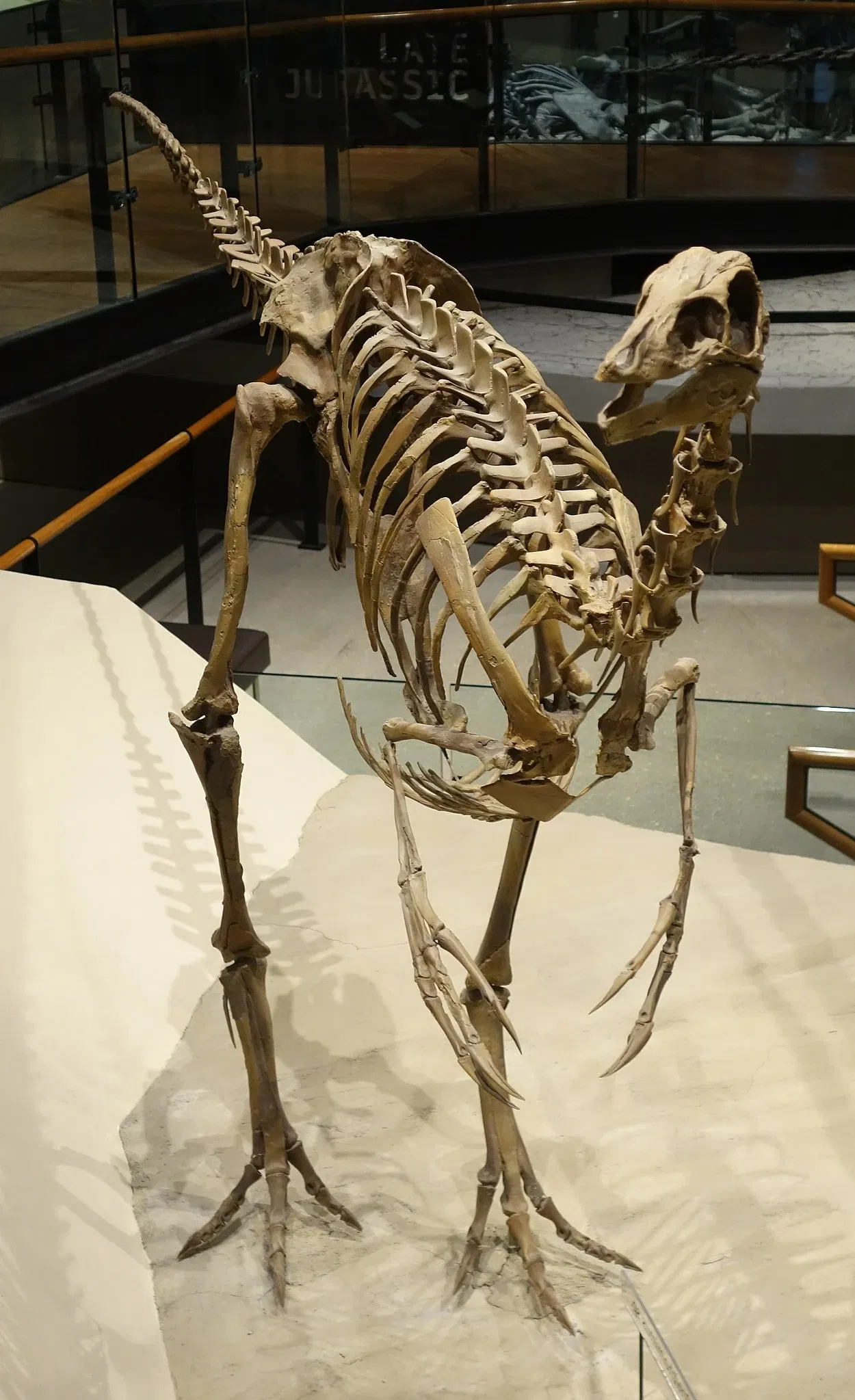 Natural History Museum of Utah