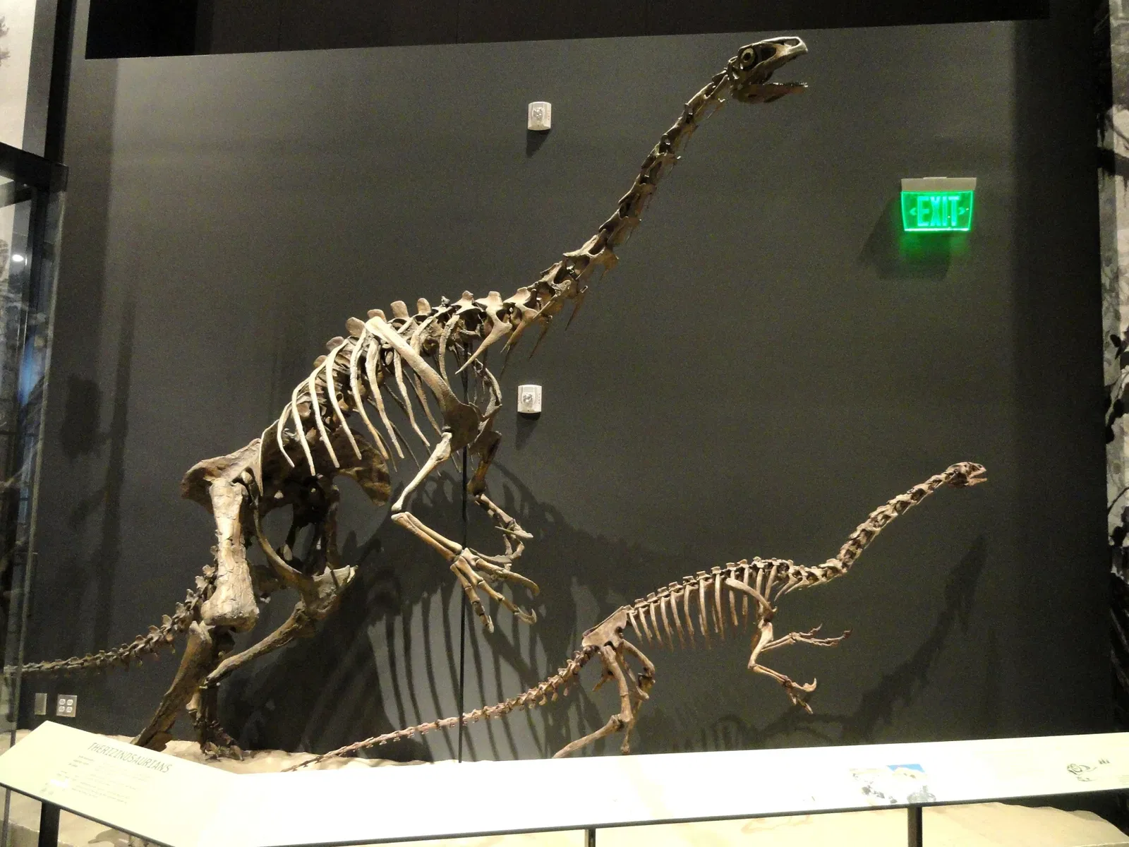 Natural History Museum of Utah