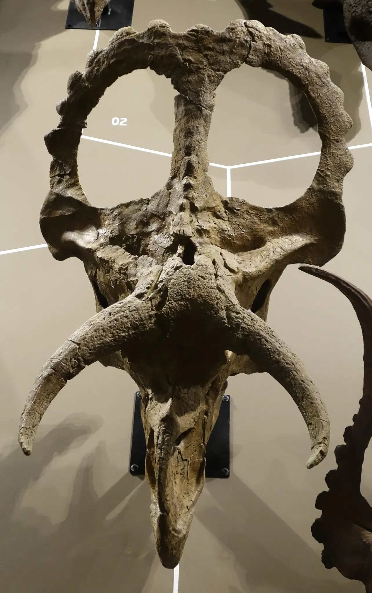 Natural History Museum of Utah