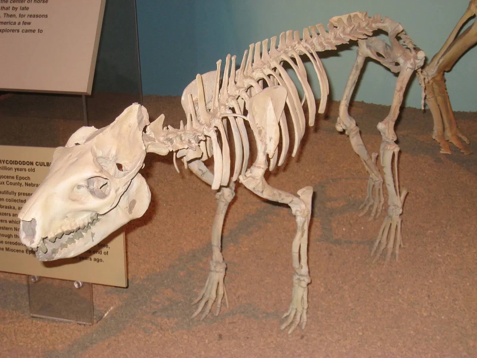 Natural History Museum of Utah