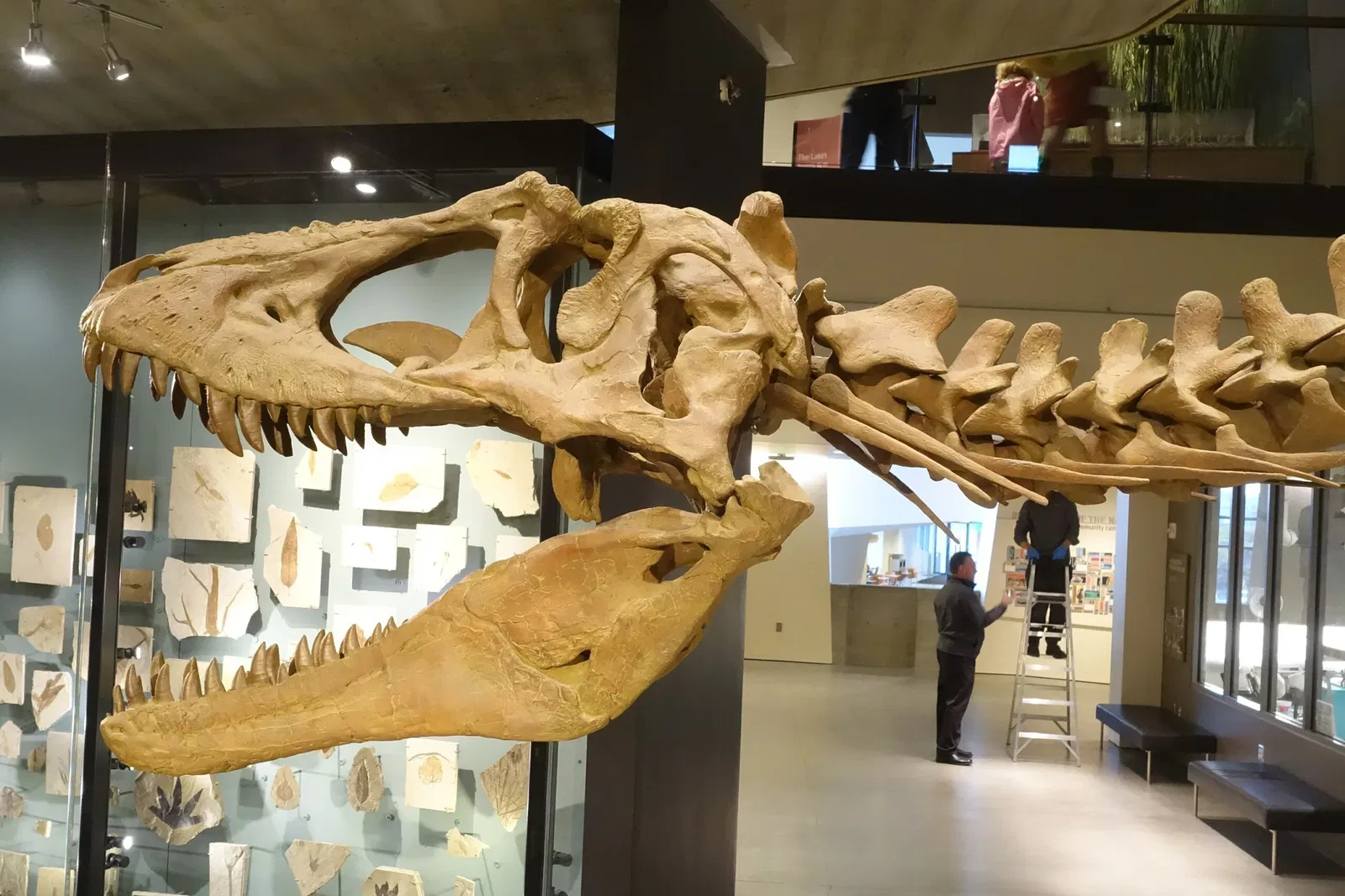 Natural History Museum of Utah